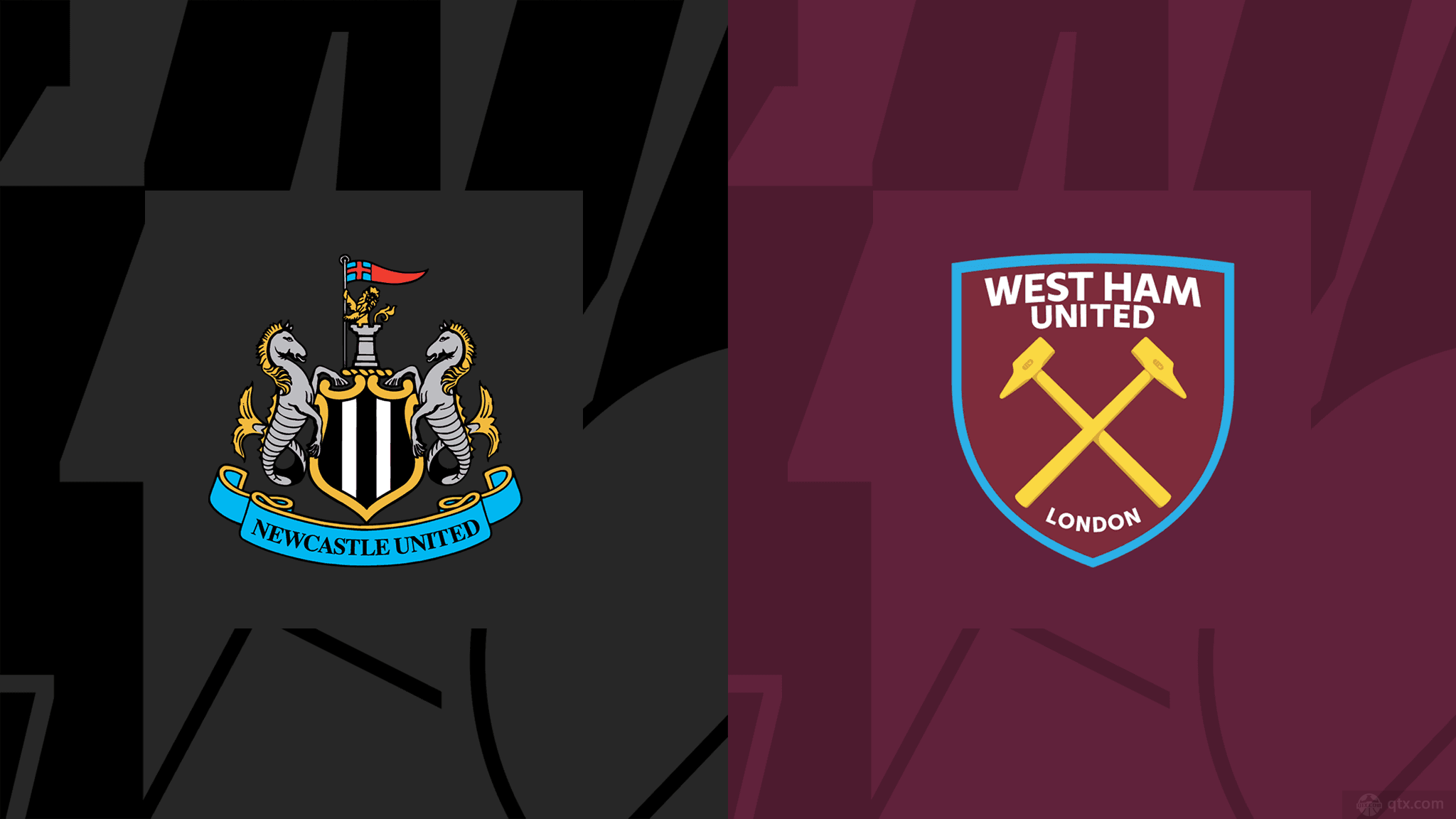 泳新星的背 泳新星的背